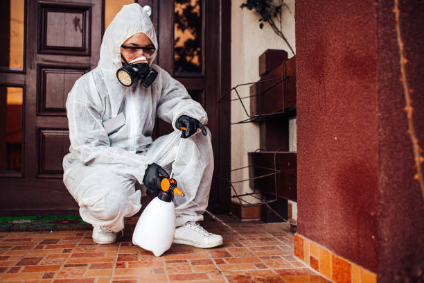 Reliable Wasp Removal contractor in Leisure World, MD by Show Me Pest Control